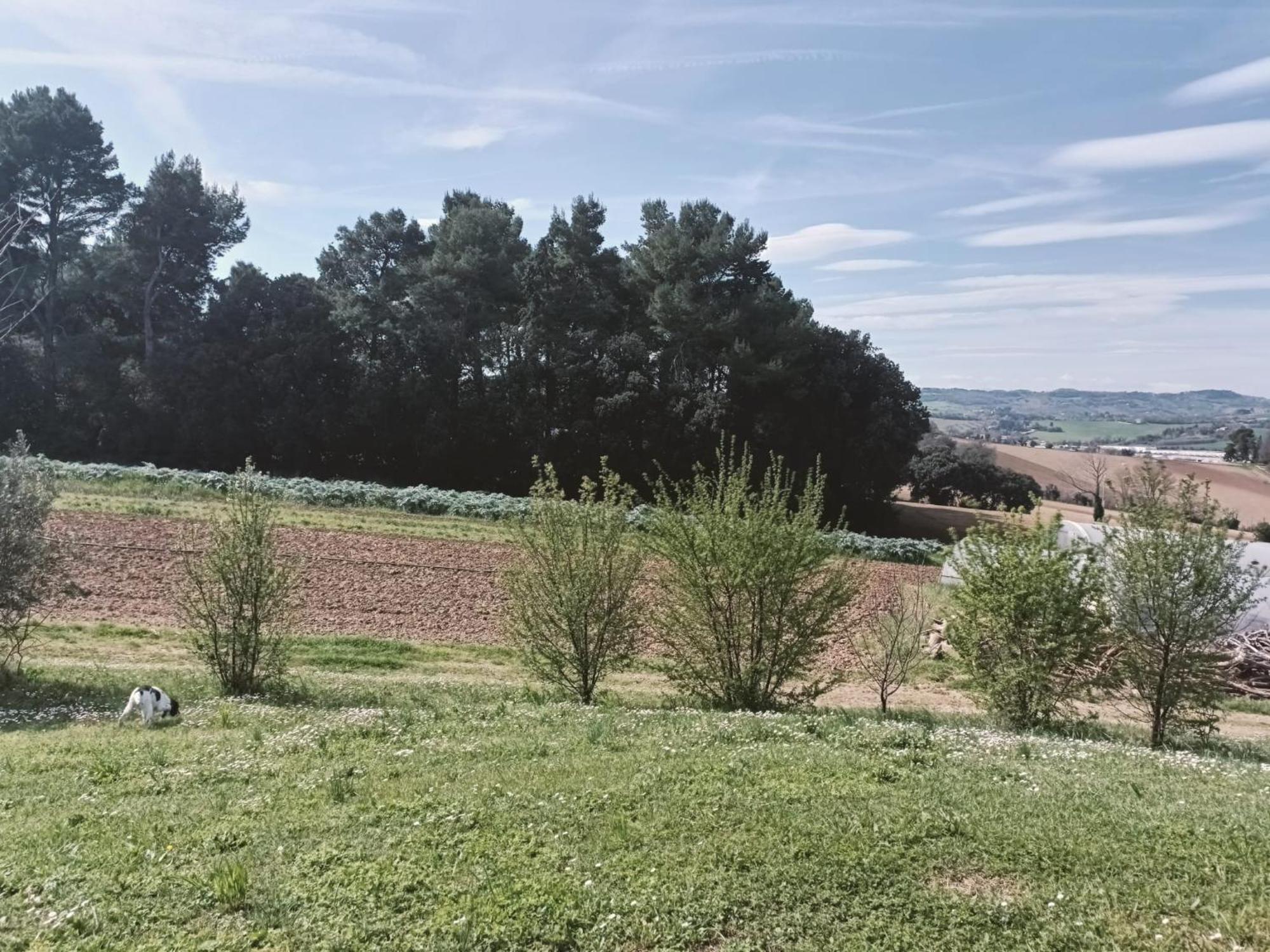 Venticello Del Conero Διαμέρισμα Gli Angeli Εξωτερικό φωτογραφία